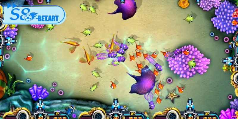 Một số bí quyết hay để chinh phục đại dương dễ dàng